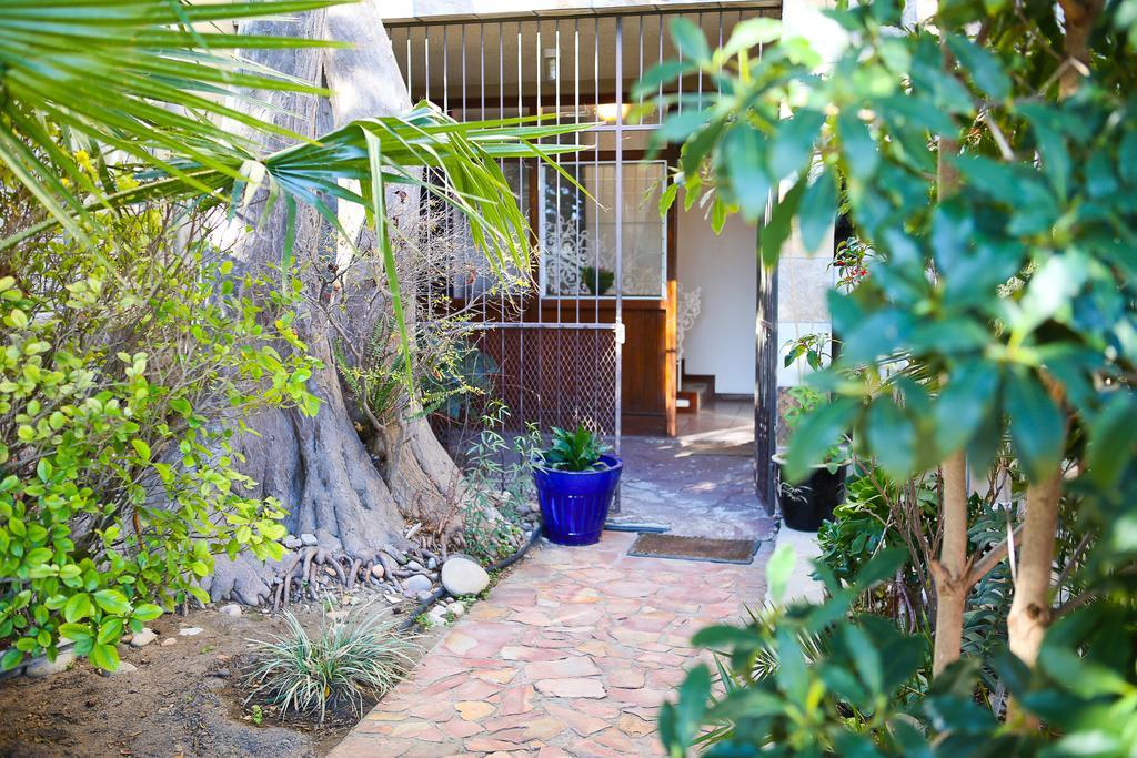 Oudtshoorn Homestay Accommodation Extérieur photo